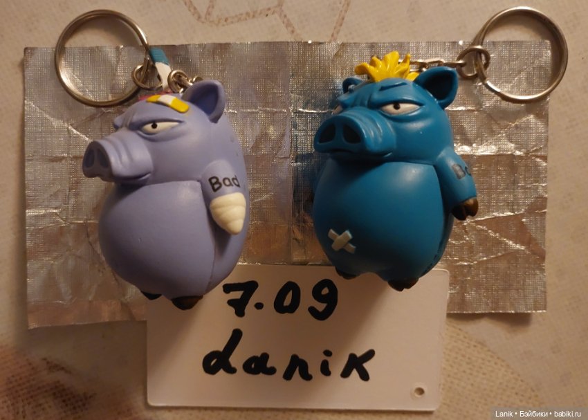 Брелоки "Плохие свиньи" — Книги (фото 3)
