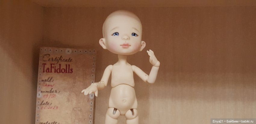 (Чоу) Chow от TaFidoll (Татьяна Филенко)