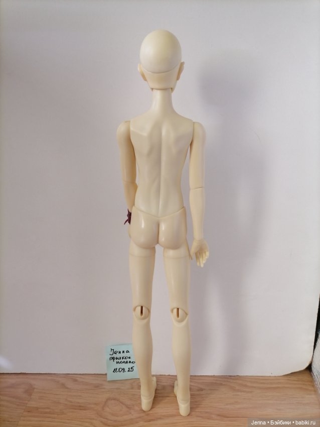 Продам dollzone ash на тушке hzbjd (фото 4)