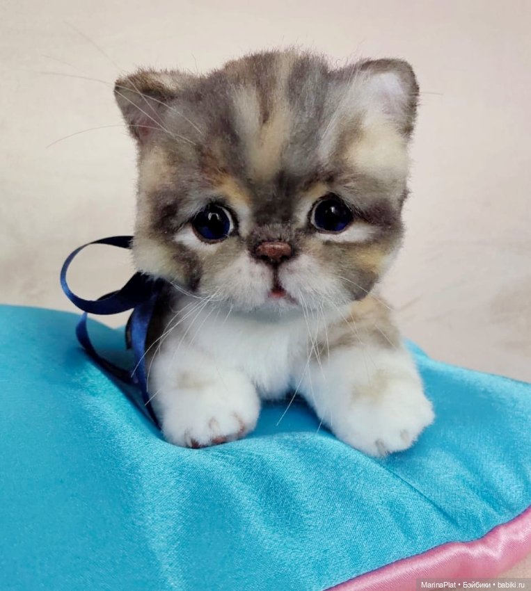 Сладкий котенок — Авторские игрушки (фото 4)