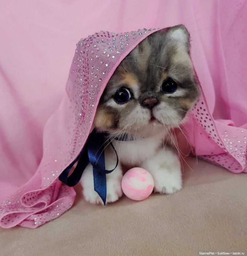 Сладкий котенок — Авторские игрушки