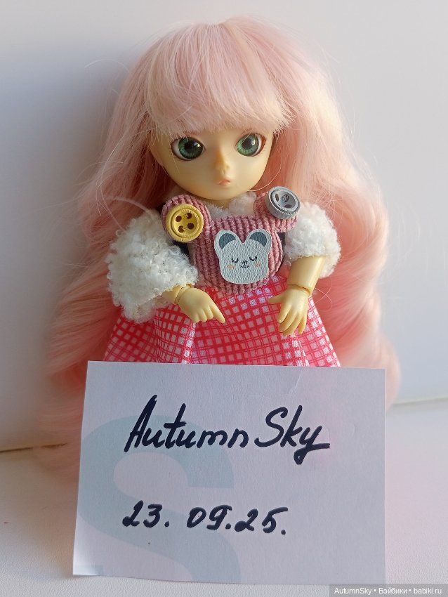 Ball Jointed Doll Ai Sanbitalia (фото 8)