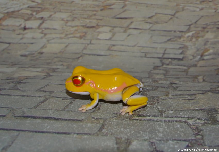 Bandai Gashapon маленькая древесная лягушка №1 (фото 4)