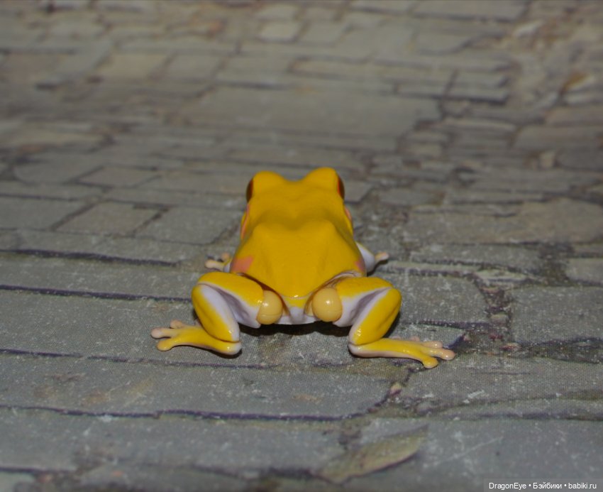 Bandai Gashapon маленькая древесная лягушка №1 (фото 9)
