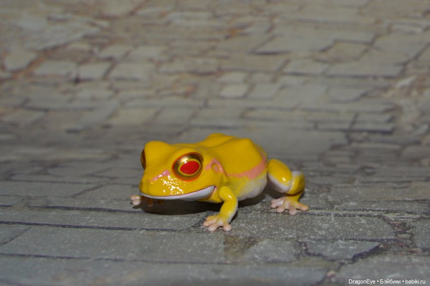 Bandai Gashapon маленькая древесная лягушка №1 (фото 5)