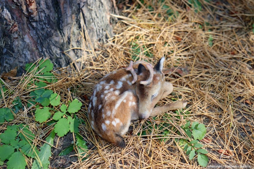 Олененок — Статуэтки (фото 3)
