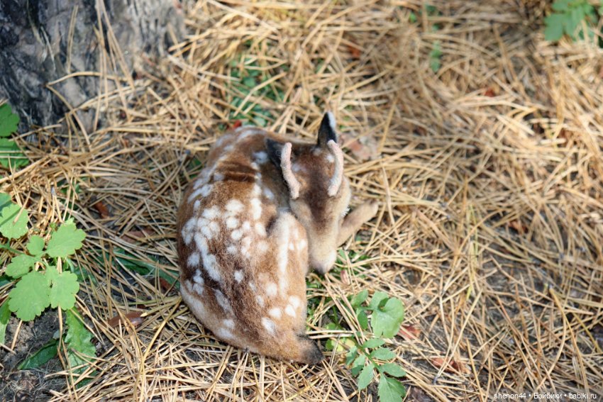 Олененок — Статуэтки (фото 7)