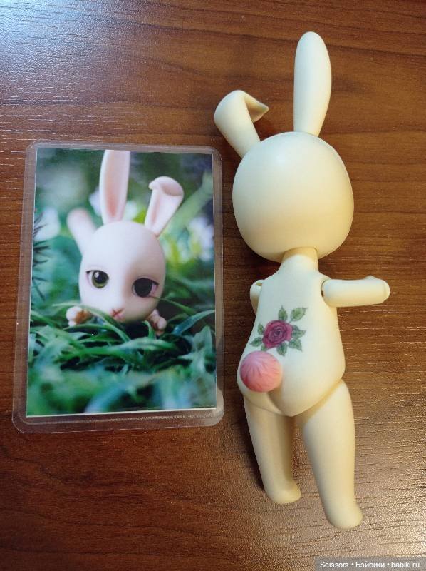 Зайка Doll Family-A Tutu — Куклы BJD (фото 4)