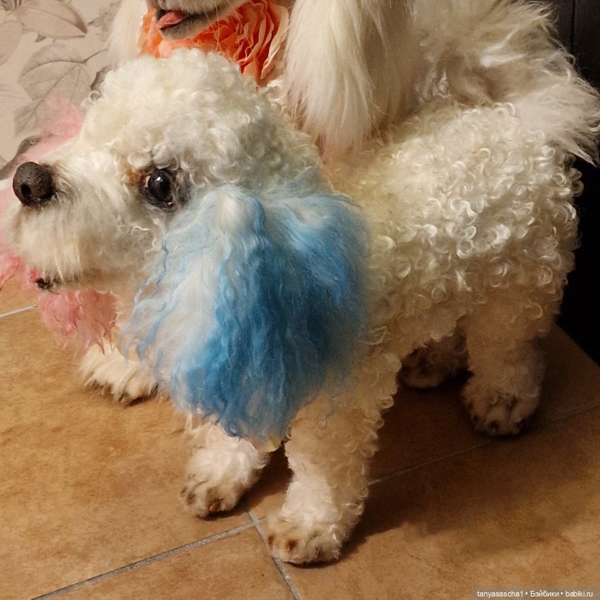 Авторская игрушка от Наташи Бабенко Собака МультиПу