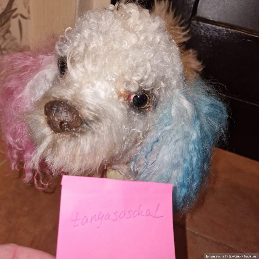 Авторская игрушка от Наташи Бабенко Собака МультиПу (фото 2)