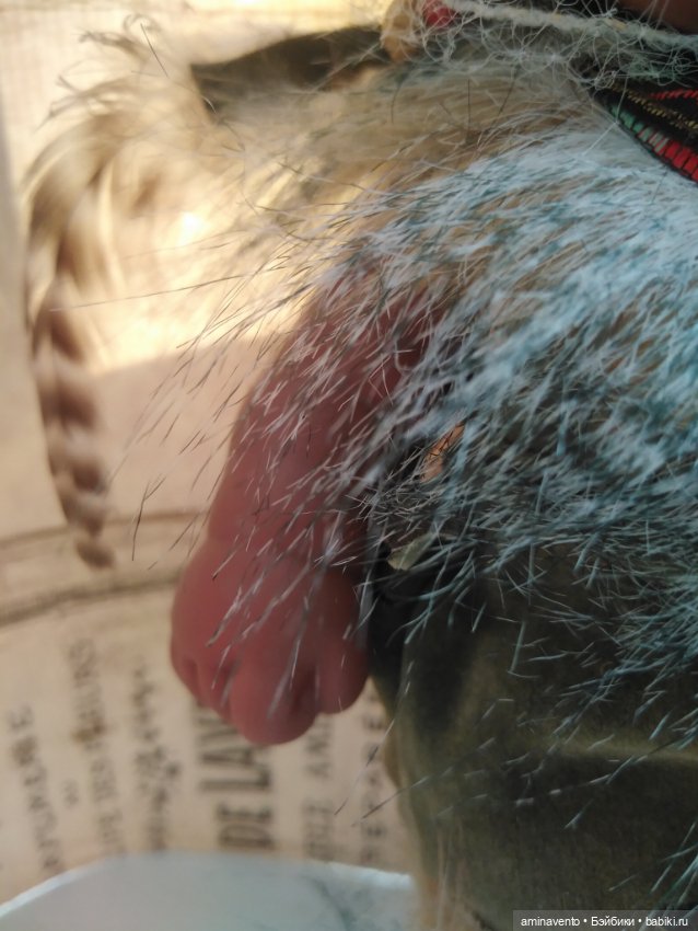 Пупс индеец (девочка) — Игровые куклы (фото 8)