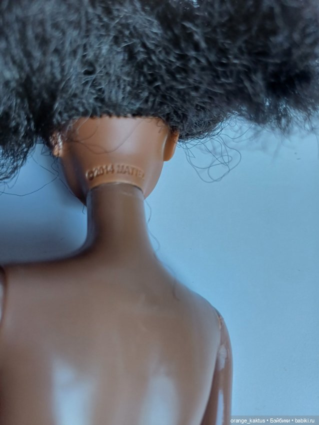 Голова Барби на аналоговом теле (фото 3)