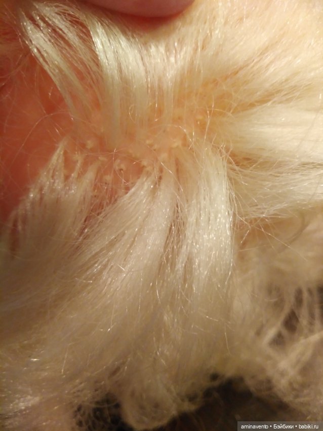 Кукла Нина, СССР — Винтажные куклы и игрушки детства