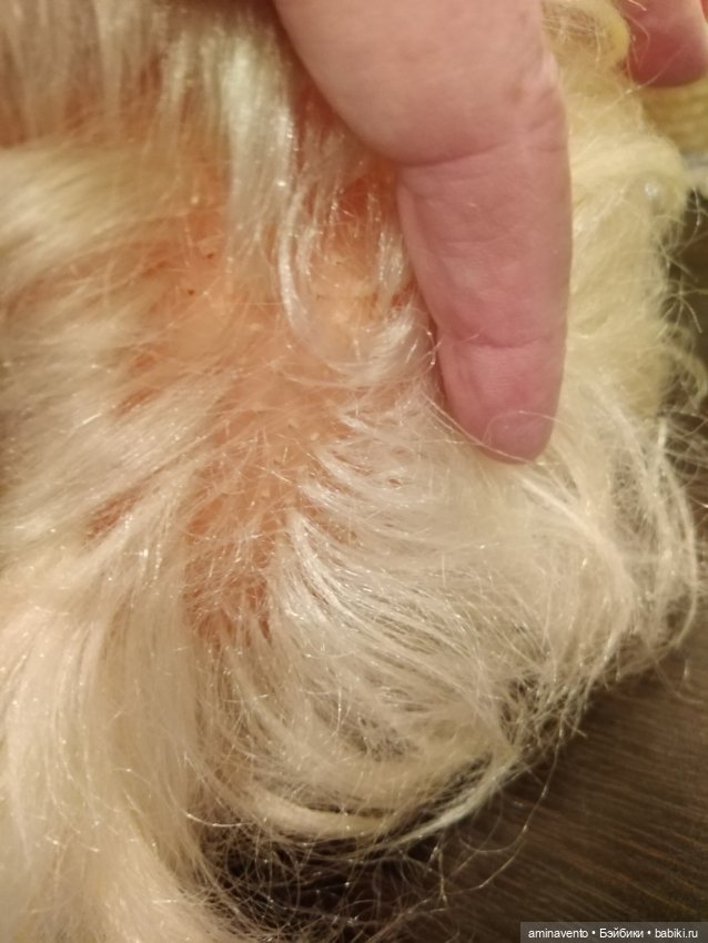 Кукла Нина, СССР — Винтажные куклы и игрушки детства