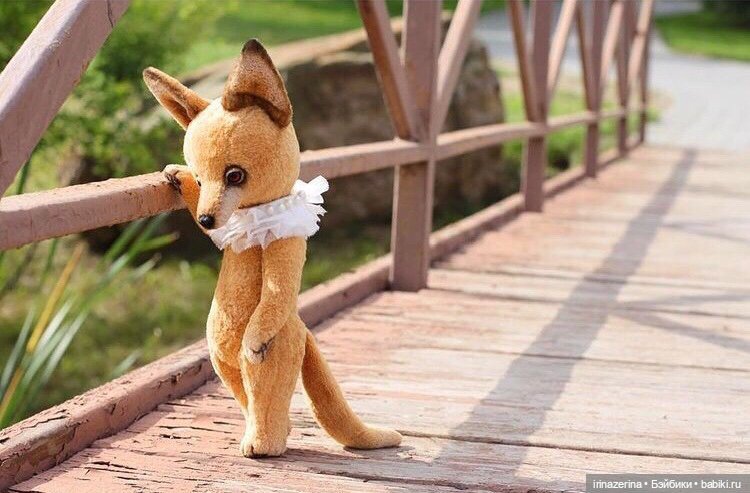 Лис ждет своего маленького принца (фото 3)