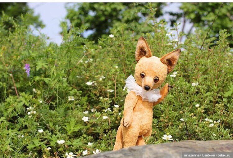 Лис ждет своего маленького принца (фото 4)