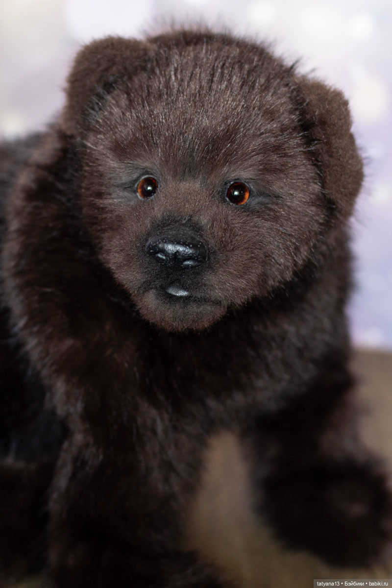 Реалистичный медвежонок Чоко (фото 7)