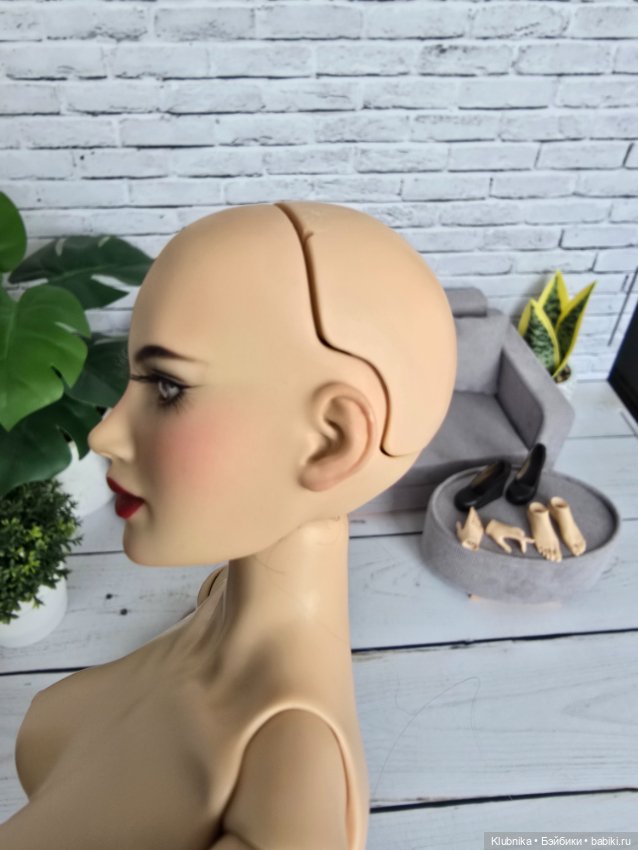 Продам Дарью от Анатолия Жукова (фото 8)