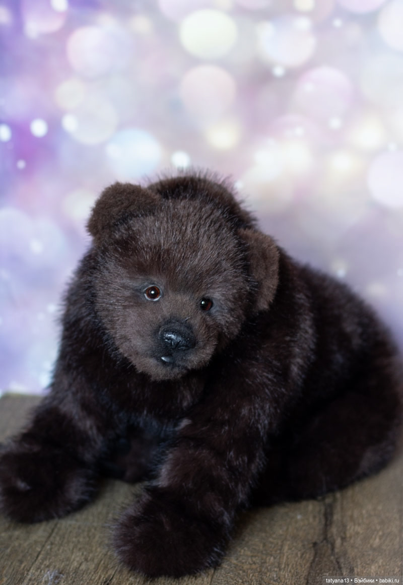Реалистичный медвежонок Чоко (фото 6)
