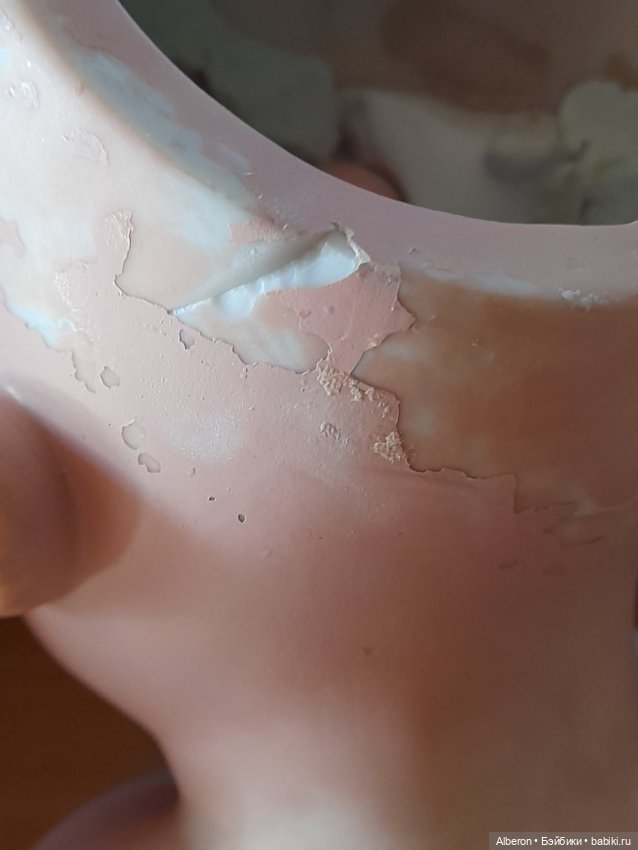 Голова АМ Герцогиня /душес/ (фото 2)