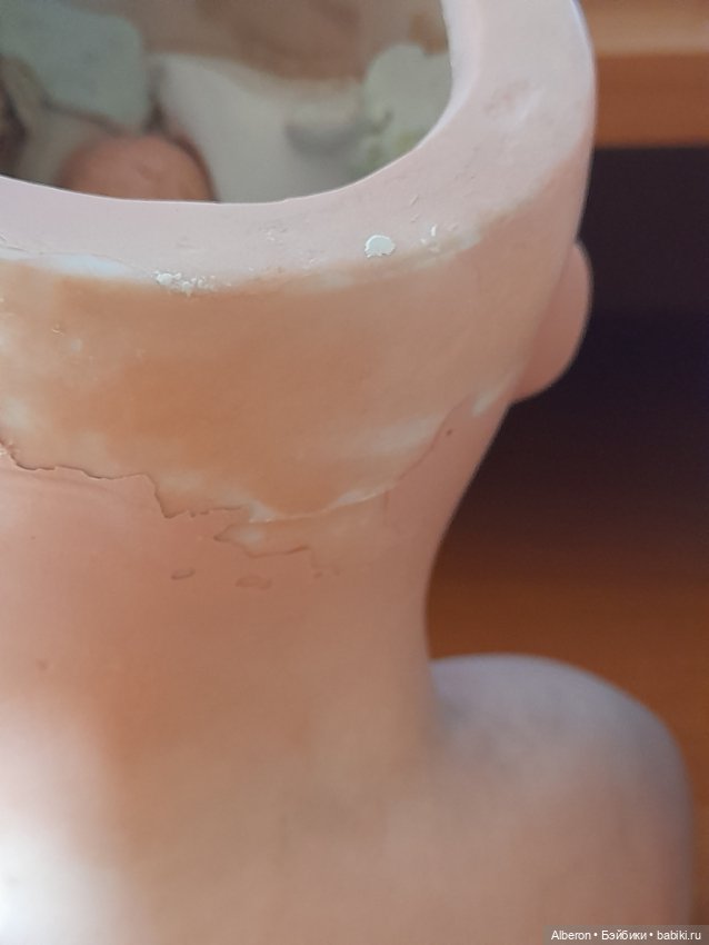 Голова АМ Герцогиня /душес/ (фото 3)