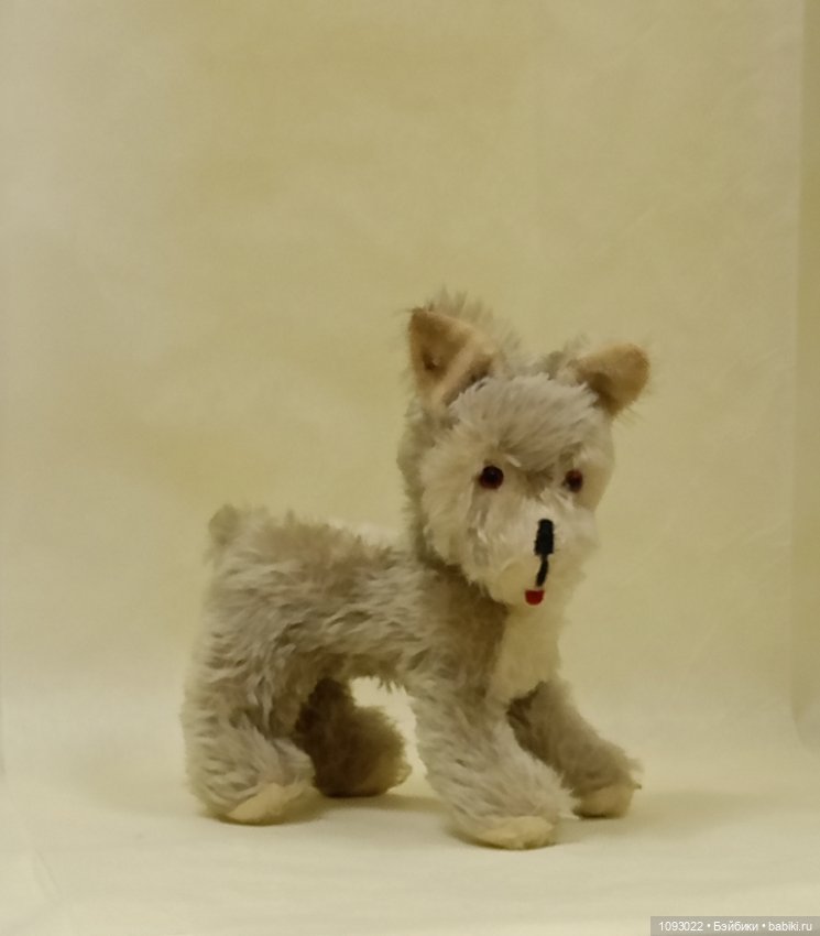 Забавный, винтажный щенок терьера