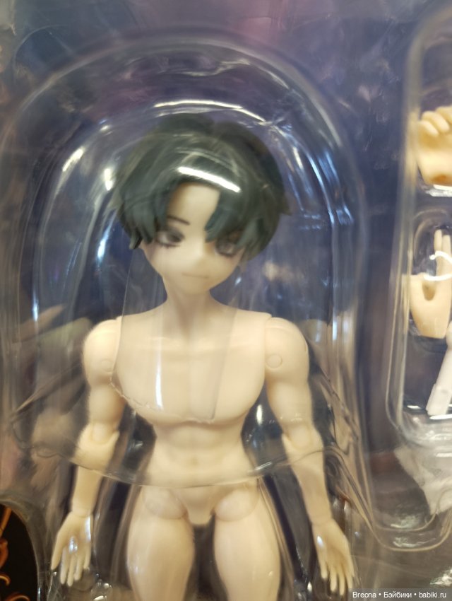 Сицилийский пес бордер фулсет (фото 2)