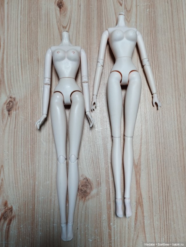 Лот из 2 тел 1/6 — Тела и головы для кукол (фото 2)