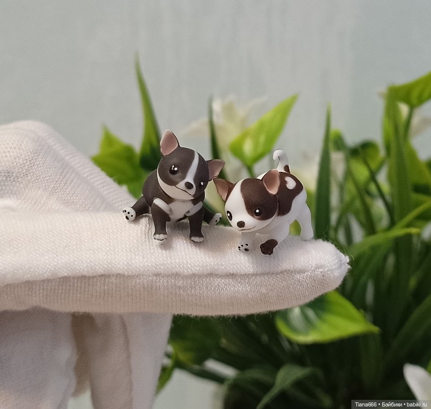 Шарнирная кукла Чихуахуа — Авторские куклы BJD (фото 4)