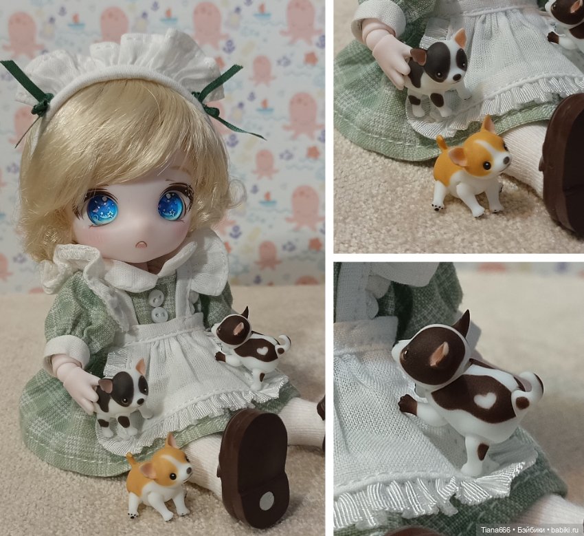 Шарнирная кукла Чихуахуа — Авторские куклы BJD (фото 5)