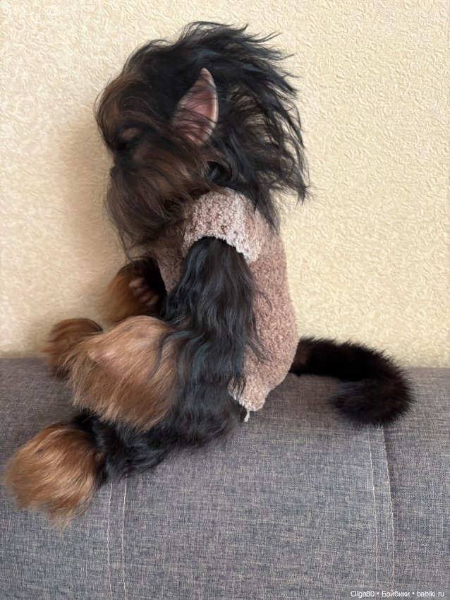 Оборотень Феликс — Куклы реборн (фото 5)