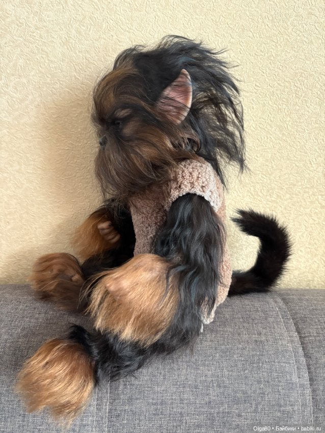 Оборотень Феликс — Куклы реборн (фото 4)