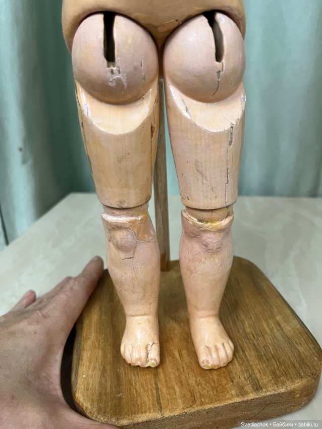 Кареглазка Bahr&Proschild 204 (фото 10)