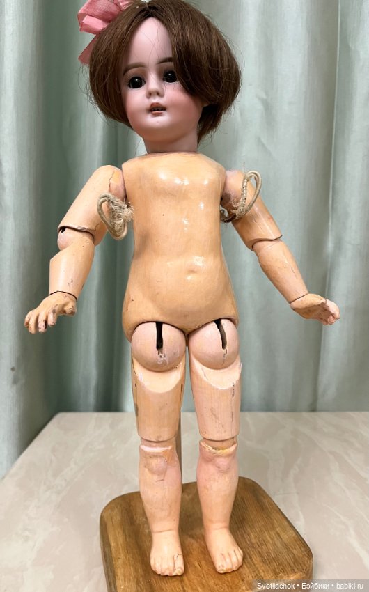 Кареглазка Bahr&Proschild 204 (фото 9)