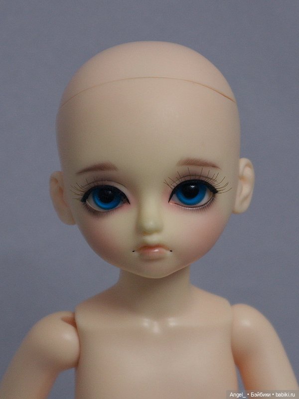 Luts Honey Delf Pudding — Куклы BJD (фото 7)