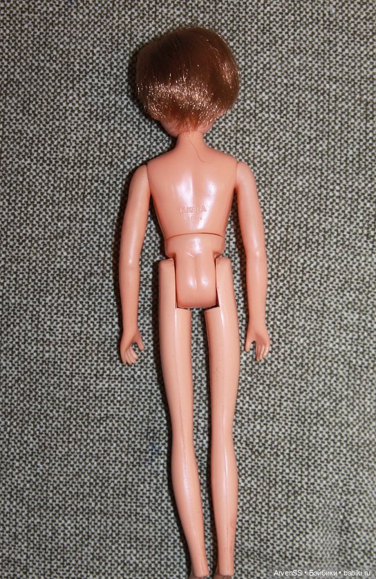 Третий парень Ликки Исаму-кун второго поколения (фото 9)