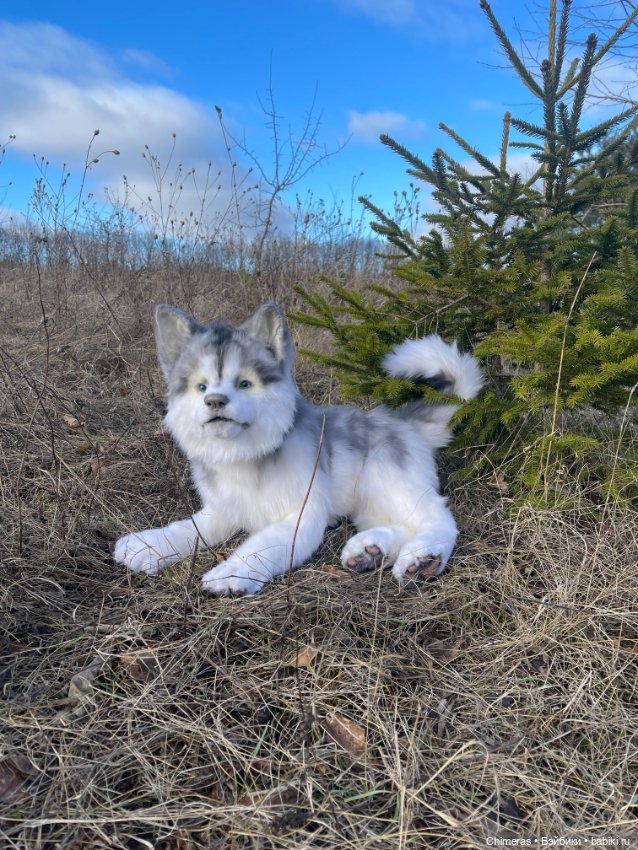 Щенок Хаски — Авторские игрушки (фото 5)