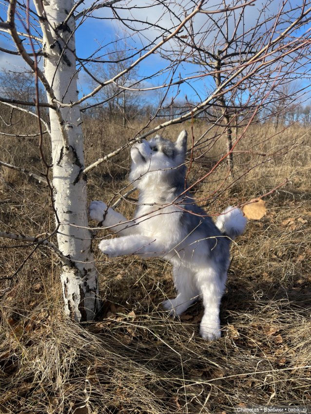 Щенок Хаски — Авторские игрушки (фото 6)