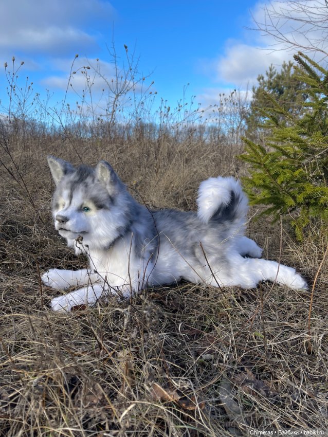 Щенок Хаски — Авторские игрушки (фото 7)