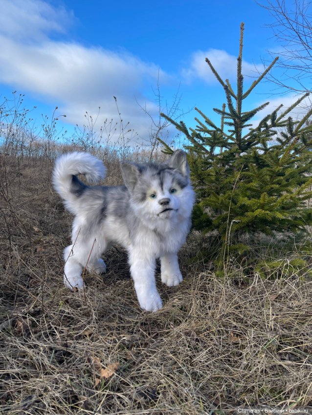 Щенок Хаски — Авторские игрушки