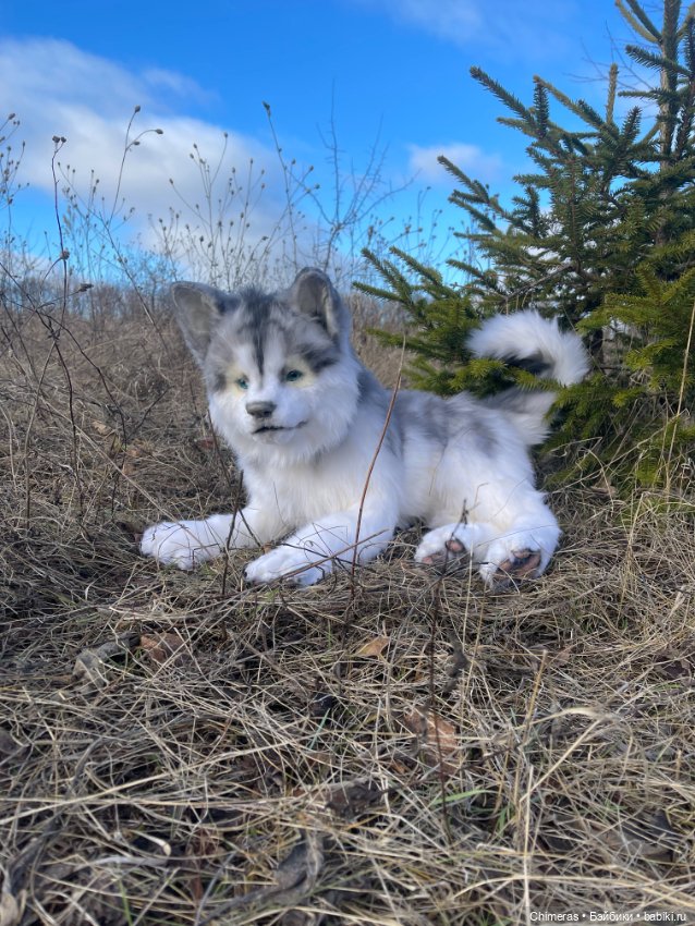 Щенок Хаски — Авторские игрушки (фото 2)