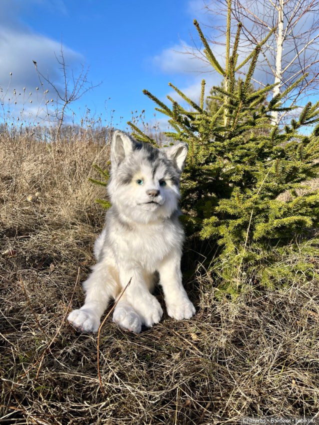 Щенок Хаски — Авторские игрушки (фото 4)