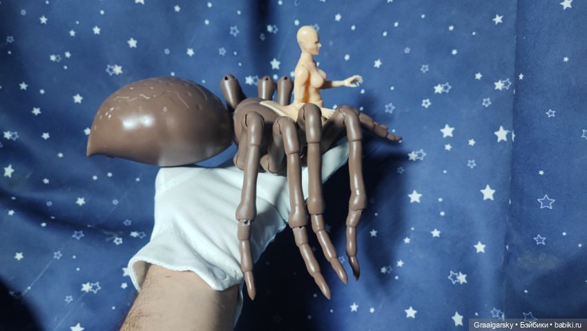 Арахна — Куклы BJD (фото 4)