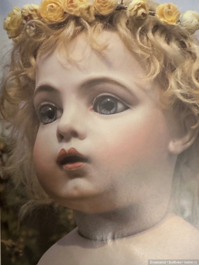 Книга про Брю — Сертификаты