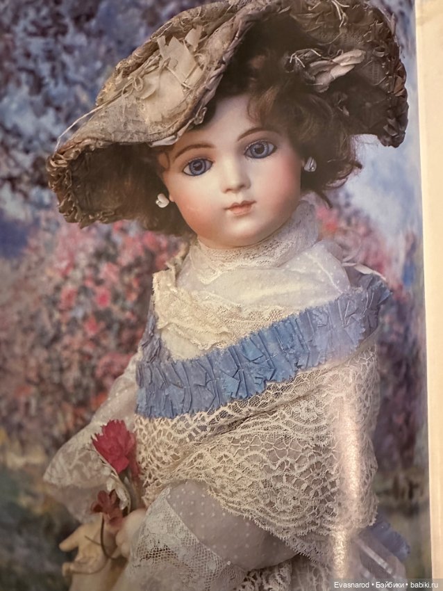 Книга про Брю — Сертификаты (фото 3)