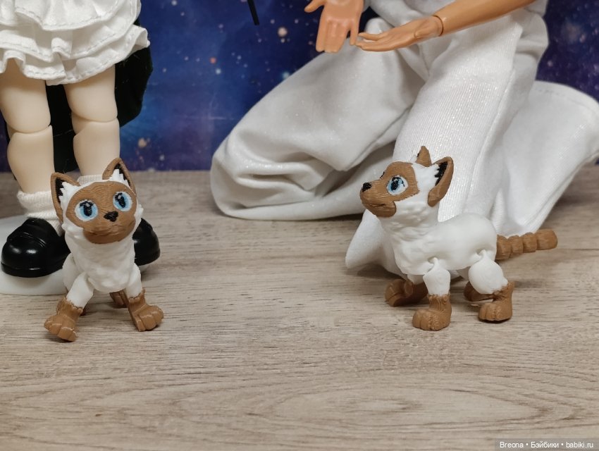 Микрозвери: сиамские коты