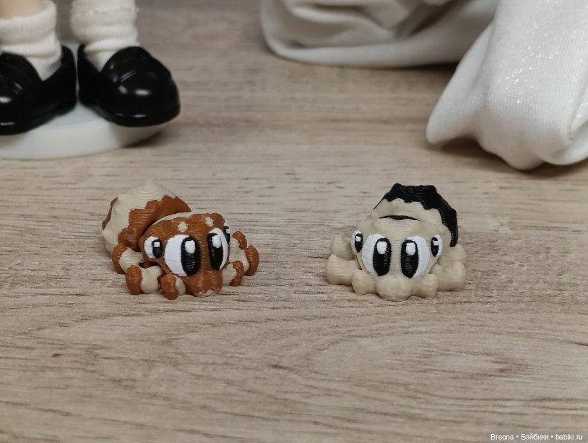 Микрозвери: пауки, паук скакунчик (фото 2)