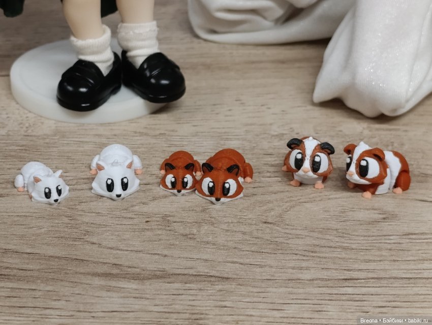 Микрозвери: хомяки, морские свинки