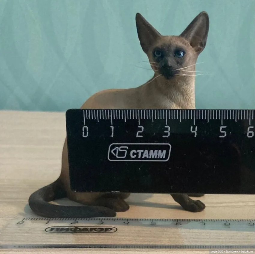 Phicen сиамский кот — Статуэтки (фото 7)
