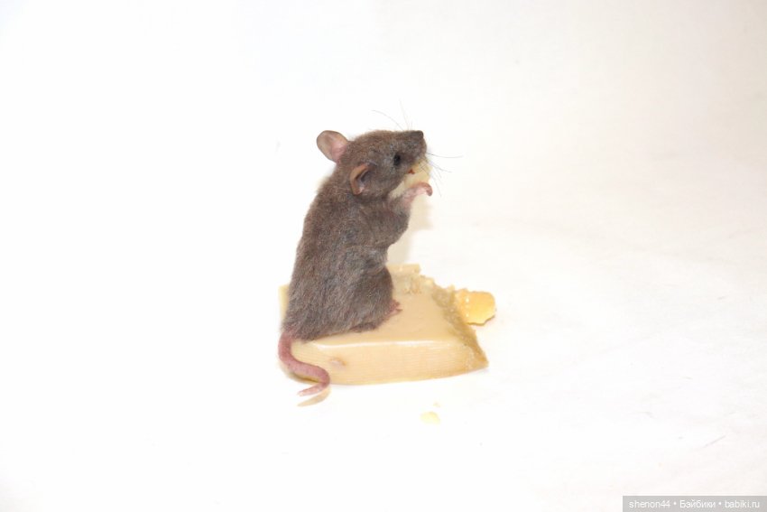 Мышка полевка — Авторские игрушки (фото 3)